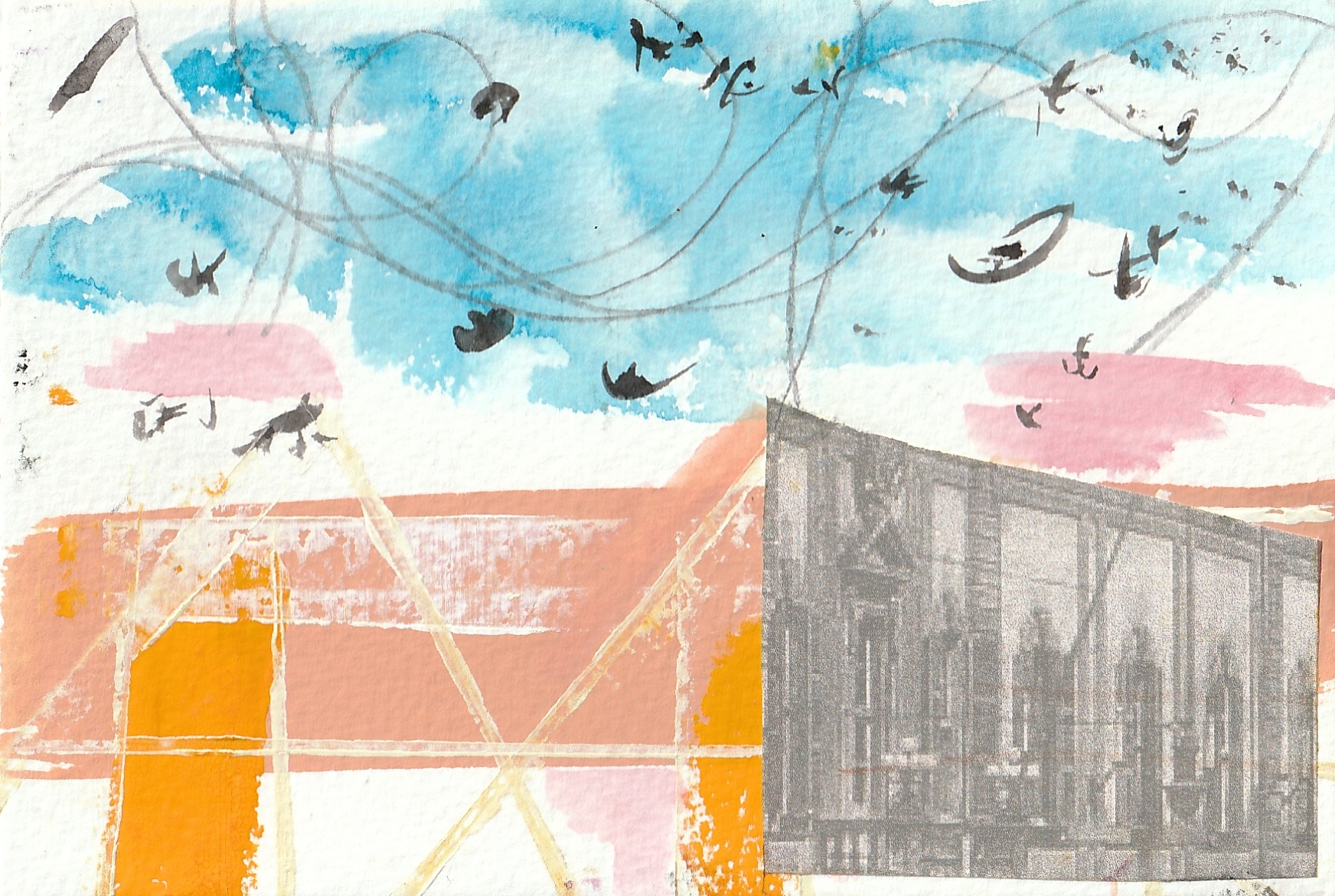 Cuneo birds V